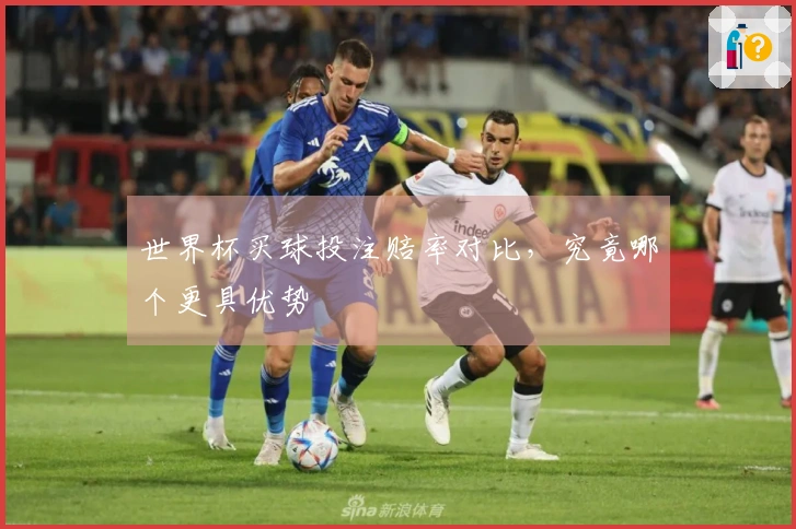 世界杯买球投注赔率对比，究竟哪个更具优势