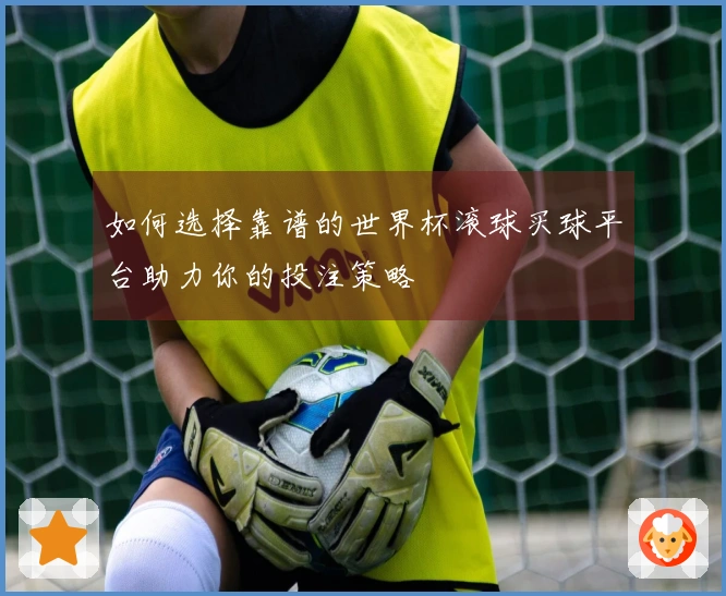 如何选择靠谱的世界杯滚球买球平台助力你的投注策略