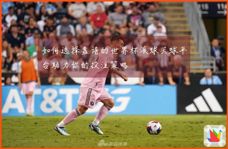 如何选择靠谱的世界杯滚球买球平台助力你的投注策略