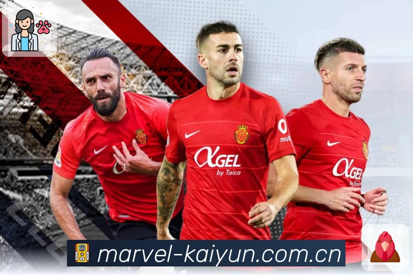 入口置顶与分类